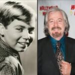 Stanley Livingston Who Played Chip Douglas On The Hit Sitcom My Three Sons Which Ran For 12 Seasons (1960 – 1972) Is The Special Guest On The “Bad” Brad Berkwitt Show Tuesday March 24, 2026 – Breaking News
